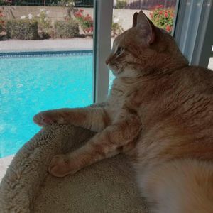 Meet your Posher, Donna